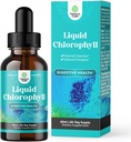 Vegan Liquid Chlorophyl Drops - Super συμπυκνωμένο Mint Flavored Chlorophyll Liquid Drops - Εσωτερικός Καθαριστής Digestive Υποστήριξη Ανοσοποιητική Υγεία και όλο το σώμα Detox και Cleanse Υποστήριξη (60 Services)
