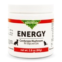 Animal Essentials Energy Cordyceps Mushroom Supplement for Dogs & Cats - Υποστήριξη Σταμίνα & Αντοχή, Υγιεινές λειτουργίες αναπνευστικού & νεφρού, Αντιοξειδωτικό, Mushroom Powder Extract - 2.8 Oz (πακέτο του 1)