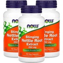 Τώρα τρόφιμα Stinging Nattle Root Extract 250mg, Veg-Capsules, 90-Count (πακέτο των 3)