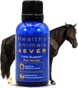 HA4E - Horse Colic Support - Μειώνει τον κοιλιακό πόνο & το στομάχι ζητήματα - Εξαιρετικά αποτελεσματική, φυσικό ομοιοπαθητικό συμπλήρωμα - 300 Tabletισκία