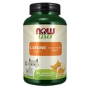 NOW Pet Health, L-Lysine Supplement, Powder, Formulated for Cats, NASC Certified, 8-Ounce