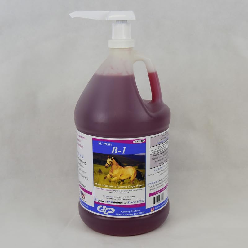 SU-PER B-1 Horse Calming Supplement - Equine Vitamin B-1 Υποστήριξη Horse Calmer Liquid - Appetite Booster Supplement for Horses - 1 Gallon + Αντλία, 4 Μήνες Προσφορά