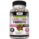 Kaya Naturals - Caralluma Fimbriata 1200mg High Potency Supplement 