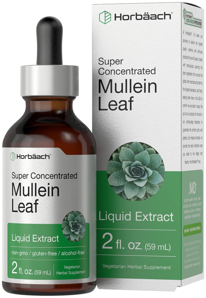 Horbäach Mullein Leaf Extract Drops | 2 fl oz | Alcohol Free Liquid Tincture | Vegetarian, Non-GMO & Gluten Free Herbal Supplement