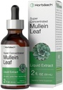 Horbäach Mullein Leaf Extract Drops 