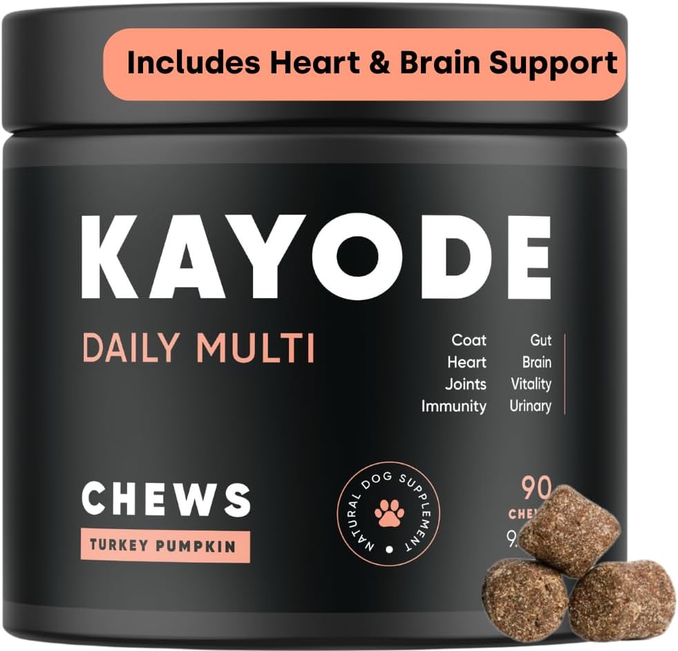 Kayode Καθημερινή Multi - Dog Multivitamin & Superfood Chew. Γεμίστε Nutrient Gaps. Βοηθά αρθρώσεις, Digestion, καρδιά, εγκέφαλο, ουροποιητικά & περισσότερα. Προσθέστε τις Απώλειες Τροφής Σκύλων. Τέλεια και για τα κουτάβια.