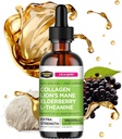 Collagen Mojo - Liquid Collagen για γυναίκες & άνδρες, Collagen Peptides με Mane Mushroom, Elderberry & L-Theanine - Μαλλιά, δέρμα, νύχια, κοινή υποστήριξη, εστίαση, υψηλή απορρόφηση - 100.000mcg, 2 Oz