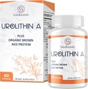 Urolithin ένα συμπλήρωμα 1500MG Plus Brown πρωτεΐνη ρυζιού, για την απόδοση άσκηση & μιτοχονδριακή υποστήριξη, χωρίς γλουτένη, 60 κάψουλες