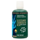 Natures Plus Ultra Rx-Joint Liquid, Honey Lemon - 30 fl oz - Υποστηρίζει υγιή κοινή λειτουργία - με γλυκοζαμίνη, χονδροϊτίνη & MSM - Χωρίς γλουτένη - 30 Σερβίρει
