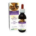 Naturalma Chaga (Inonotus obligus) Fungus ή Mushroom Αλκοόλ-ελεύθερο Βάμμα - 4 fl oz Liquid Extract in Drops - φυτικό συμπλήρωμα - Vegan