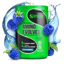 Είδη Διατροφή Amino Περιερχόμενα EAA & BCAA σκόνη, ζυμωμένη διακλαδισμένη αλυσίδα Αμινοξέα, αποκατάσταση μυών & αντοχή, προ & μετά την προπόνηση συμπλήρωμα (Blue Raspberry, 30 εξυπηρετούν)