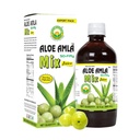 Basic Ayurveda Aloe Amla Mix Juice | Blend of Aloe Vera & Amla Fruit | First Press Virgin Juice | Plant-Based Daily Drink | Vegan & Non-GMO | 32.46 Fl Oz (960ml)
