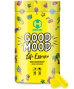 HARDLABZ Good Mood - All Natural Nootropic with Lion's Mane Mushroom and Herbal Extracts for Cognative and Mental Support - Stress Relief, Brain Performance, Mood Enhancement, 90 Capsles