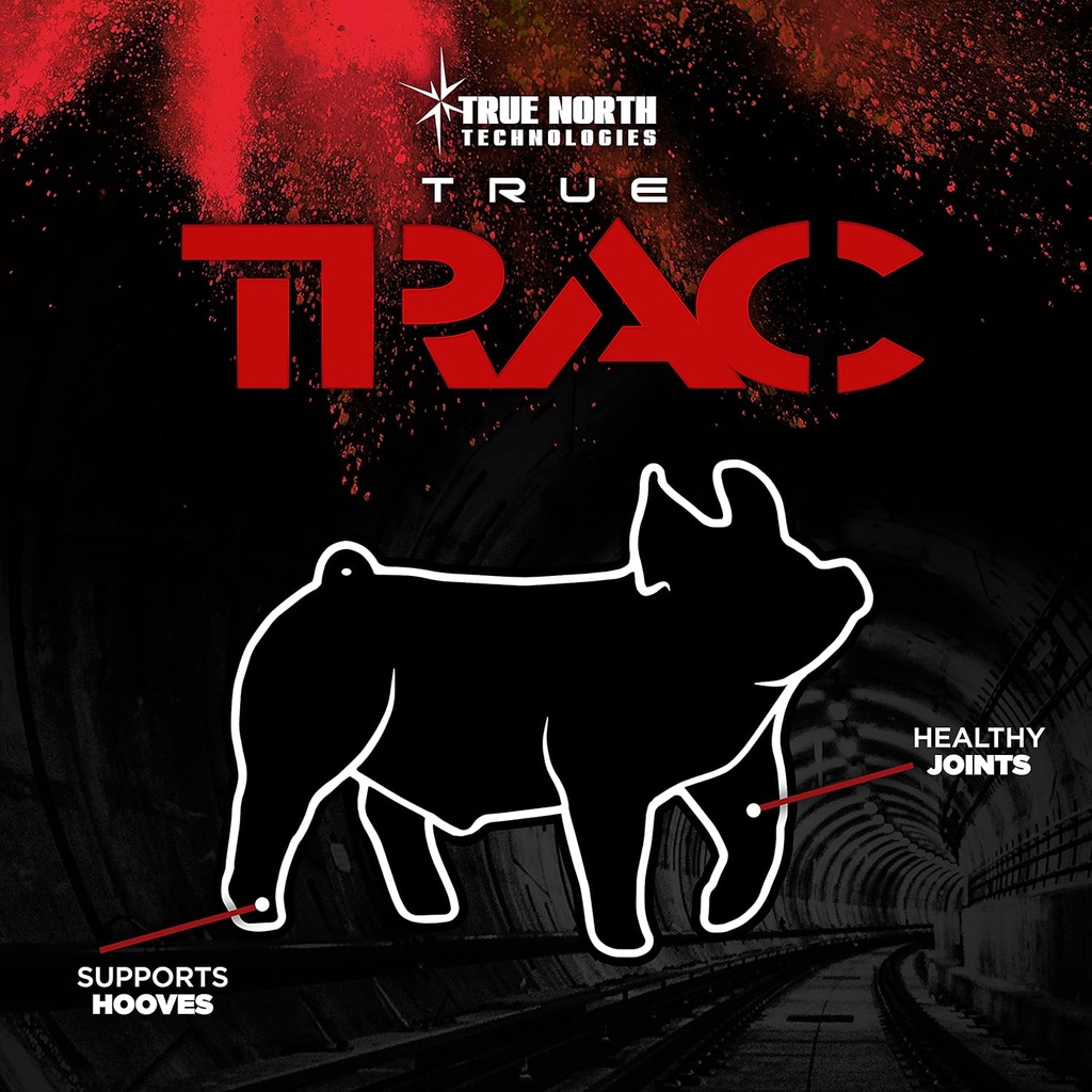 Αληθινό Τρακ