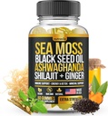 Sea Moss, Black Seed Oil, Ashwagandha, Ginger, Shilajit Gummies with Elderberry, Chlorophyl, Turmeric Bladerwrack Sea Moss Gummies Advanced Strength Formula - Όλα σε 1 Bundle - USA Made (60 Gummies)