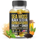 Sea Moss, Black Seed Oil, Ashwagandha, Ginger, Shilajit Gummies with Elderberry, Chlorophyl, Turmeric Bladerwrack Sea Moss Gummies Advanced Strength Formula - Όλα σε 1 Bundle - USA Made (60 Gummies)
