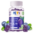 Κατοικίδια Purest Glucosamine Chondroitin Gummies με MSM & Elderberry Extra Strength - Κοινή Υποστήριξη, Αντιοξειδωτικό ανοσοποιητικό συμπλήρωμα υποστήριξης για ενήλικες, άνδρες και γυναίκες.60