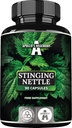 APOLLO'S HEGEMONY Sting Nattle 500 mg - Υψηλής αντοχής εκχύλισμα DER 4:1, 90 Vegan Κάψουλες, 3 μήνες προσφοράς, συμπλήρωμα βοτάνων για την υποστήριξη της καρδιαγγειακής υγείας