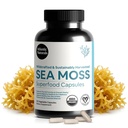 Atlantic Naturals Sea Moss Κάψουλες με Moringa, Ashwagandha, Black Seed Oil, Ginger & Ginseng – Atlantic Sea Moss Συμπληρώματα για Άνδρες και Γυναίκες – για Καθημερινή Ενέργεια & Wellness Blend – 120 Count
