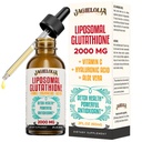 Liposomal Glutathione Liquid 2000MG – Συμπλήρωμα Αντιοξειδωτικής Αποτοξίνωσης για γυναίκες & άνδρες, Άμυνα γήρανσης, Λειτουργία ήπατος & Ενέργεια, με Υαλουρονικό Οξύ + Αλόη Βέρα + Βιταμίνη C, Φυσικό & Vegan, 2 FL.OZ