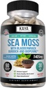 Kaya Naturals Sea Moss - Συμπλήρωμα κινητικότητας για άνδρες και γυναίκες - με Burdock Root, Irish Moss, Bladderwrack, και BioPerine - για την κινητικότητα Υγεία και ανοσοποίηση Boost, 60 Count