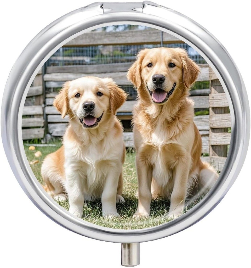 Round Pill περίπτωση 3 διαμέρισμα Golden Retriever σκυλιά κουτάβια κατοικίδια κουτί χάπια Mini Medicine Pill Organizer Portable Travel Pillbox για Pocket Purse Metal Pill εμπορευματοκιβώτιο για Βιταμίνες Fish Oil συμπληρώματα