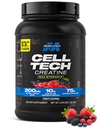 MuscleTech Creatine Monohydrate Powder Cell-Tech Creatine Post Workout Recovery Drink Muscle Builder Για άνδρες & γυναίκες Μύες Building Συμπληρώματα Punch φρούτων, 3 lbs (27 Serv)