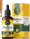 HERBAMAMA Mullein Drops for Lungs - Vegan Lung Cleanse with Mullein Leaf Extract, Echinacea Tincture & Licorice - Μη ΓΤΟ, Αλκοόλ & Χωρίς ζάχαρη Συμπλήρωμα αναπνευστικής υποστήριξης - 56-Ημέρα προσφοράς