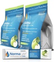 NormaLyte Αλάτι στοματικής ενυδάτωσης - 60 Sticks (Yields 500mL ανά συσκευασία)-Apple