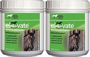 Kentucky Performance Products 2 Pack of Elevate Maintenance Power, 2 Pounds Each, Natural Vitamin E Horse Supplement