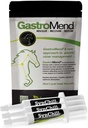 SynChill 3 Pack + GastroMend Bund for Horses - Πλήρης Στομάχι Υγεία & Συμπεριφορά Υποστήριξη, Βοηθήματα στη γαστρική Ulcer Ανακούφιση, Προάγει την ηρεμία & Εστίαση, Όλα φυσικά, Κόστος αποτελεσματική