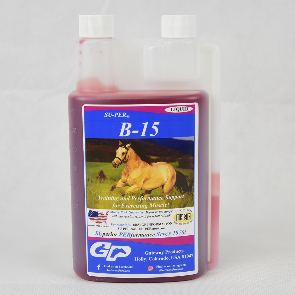 SU-PER B-15 συμπλήρωμα βιταμίνης για τα άλογα - Equine Vitamin B-15 Liquid for Performance Support - Υποστηρίζει την κανονική καρδιοαγγειακή ανοσοποιητική & μυϊκή λειτουργία - 1 Quart, (2 Pack)