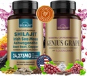 Γνωστική Wellness Bundle - Resveratrol Complex & Shilajit Fulvic Acid Minerals - Sea Moss, Ashwagandha, Clinically tested Cognigrape Red Grape Extract - Μη ΓΤΟ, Χωρίς γλουτένη, Vegan Συμπλήρωμα