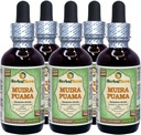 Muira Puama (Ptychopetalum Olacoides) Γλυκερίτης, Βιολογικό Υγρό Εκχύλισμα Χωρίς Αλκοόλ (Όνομα: HerbalTerra, Περήφανα Κατασκευασμένο στις ΗΠΑ) 5x2 fl.oz (5x60 ml)