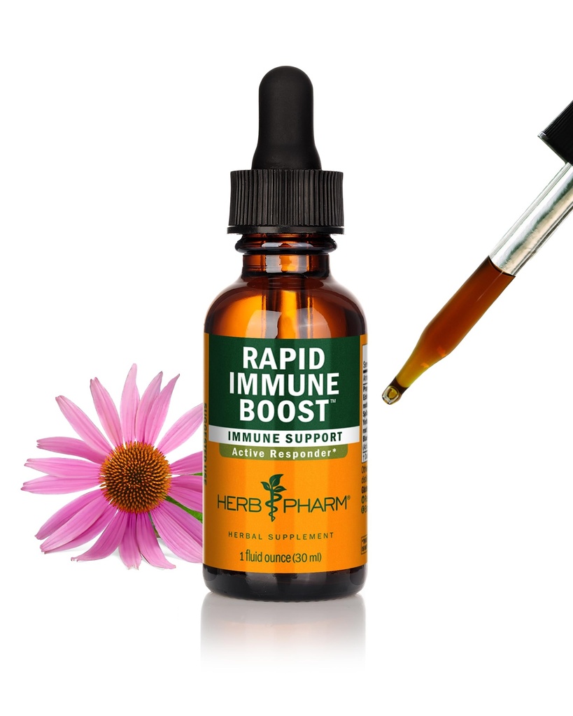 Βότανο Pharm Organic Rapid Immune Boost: Γρήγορη Απορροφώντας Βάμμα για Ενήλικες, Εχινάκεια Βάμμα με Goldenseal, εκχύλισμα Ginger & Elderberry, Immune Support Supplement & Wellness Aid, 1 Oz