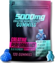 Creatine Monohydrate Gummies 5G - Delicious Blue Raspberry Flavor, Max δύναμη για την ανάπτυξη των μυών, γρήγορη απορρόφηση για άνδρες και γυναίκες - Premium όλα τα φυσικά, εργαστηριακά δοκιμαστεί - 30 εξυπηρετούν