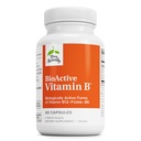 Terry Φυσικά BioActive Βιταμίνη Β - Βοήθεια για την υγεία της καρδιάς με βιοενεργές βιταμίνες Β - Συμπλήρωμα με Φολικό & Ασβέστιο - B Complex Βιταμίνη για να βοηθήσει τη λειτουργία του νευρικού συστήματος - 60 κάψουλες