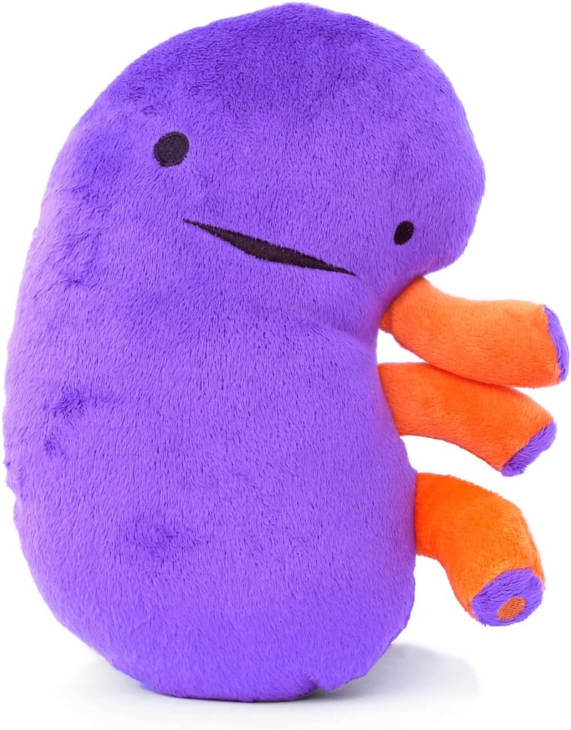 I Heart Guts Kidney Plush – 9" Εκπαιδευτικό παραγεμισμένο παιχνίδι οργάνων για νεφροπάθεια, αποκατάσταση μεταμόσχευσης, αιμοκάθαρση, CKD, πολυκυστικό νεφρό, νεφρική ανεπάρκεια – αστείο πάρει καλά δώρο