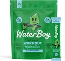 Waterboy Workout Hydration | 2,960mg Sugar Free Electrolyte Powder Packets | L-Glutamine + Vitamins | No Sugar, All Natural, Gluten Free | 15 Drink Stick Mixes (Blue Raspberry)