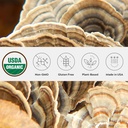 Organic Turkey Tail Mushroom Powder, Single Estate, Non-GMO - Gut, Energy, Brain, & Immune Support - Vegan Mushroom Supplement in a Resealable Glass Jar