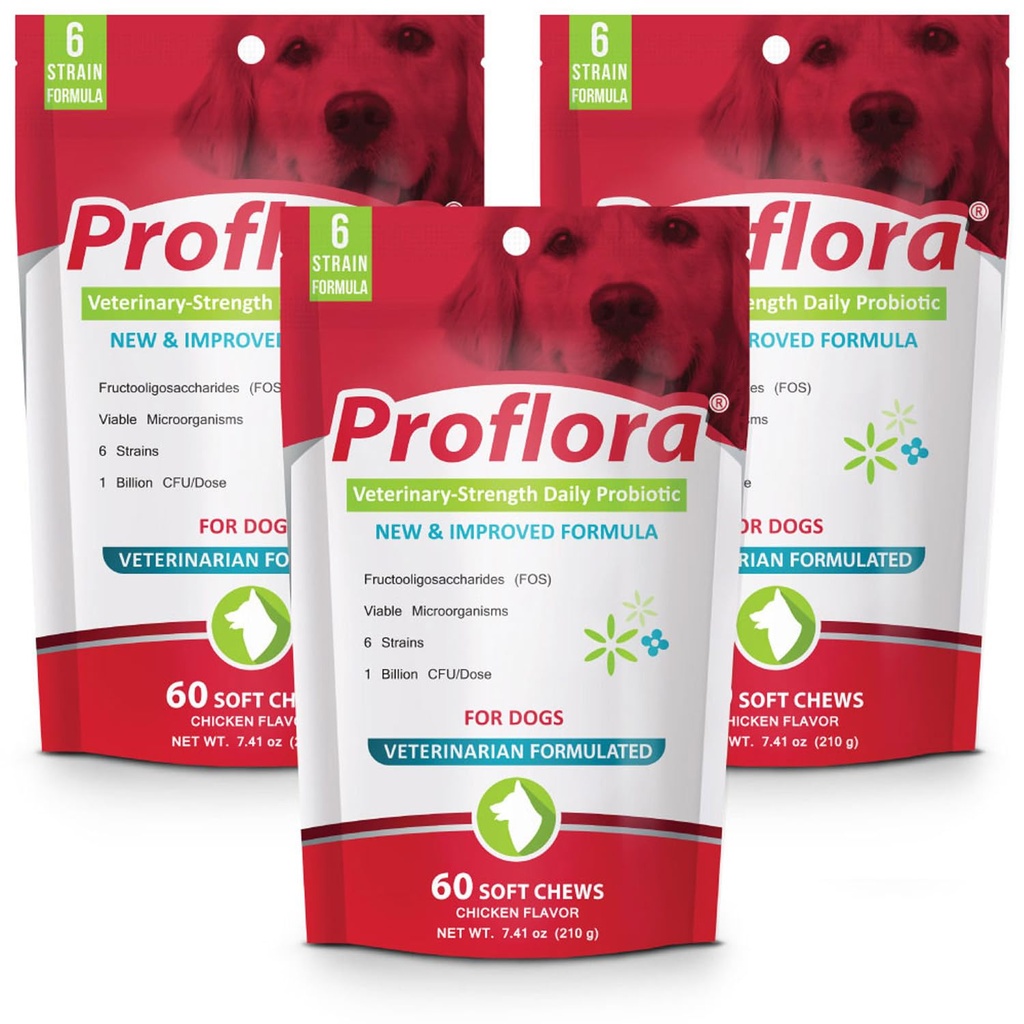 Proflora Probiotic μαλακά μάσημα για σκύλους - Κτηνιατρική-ενίσχυση καθημερινή προβιοτική - Digestion Health - Ενισχύστε το ανοσοποιητικό σύστημα - δέρμα και παλτό Υγεία - 180 μαλακά μάσημα