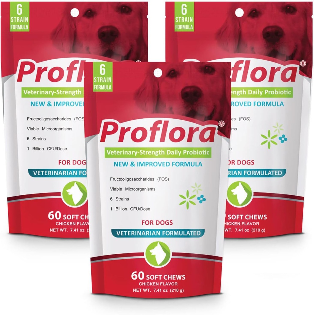 Proflora Probiotic μαλακά μάσημα για σκύλους - Κτηνιατρική-ενίσχυση καθημερινή προβιοτική - Digestion Health - Ενισχύστε το ανοσοποιητικό σύστημα - δέρμα και παλτό Υγεία - 180 μαλακά μάσημα