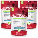 Proflora Probiotic μαλακά μάσημα για σκύλους - Κτηνιατρική-ενίσχυση καθημερινή προβιοτική - Digestion Health - Ενισχύστε το ανοσοποιητικό σύστημα - δέρμα και παλτό Υγεία - 180 μαλακά μάσημα