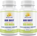 Daily Vites Sea Moss Κάψουλες 1500mg (2 Pack) - Wildcraft Irish Sea Moss Bladderwrack και Burdock Root Superfood Blend - ανοσοποιητικό σύστημα, Υγεία των ορνίθων & Θυρεοειδή Υποστήριξη - 240 κάψουλες χορτοφάγων