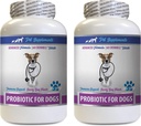 Dog Gut Restoration - PROBIOTICS for Dogs - Healthy Gut - Stop Gas Diarrhea and Bad Breath - Digestive Boost - Dog probiotics enzymes - 2 Bottles (120 Treats)