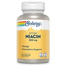 SOLARAY No Flush Niacin 500mg, Flush-Free Vitamin B3 Niacin, Energy and Circulatory System Support, Vegan, Lab Verified, 100 Servings, 100 VegCaps