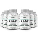 Βιολογικός Ωκεανός Ένα-Per-Day Shilajit για άνδρες και γυναίκες - Φυσικό και ισχυρό Shilajit συμπλήρωμα για την ηλικία-αποπροσανατολισμός, δύναμη των οστών, υποστήριξη ορμονών και περισσότερα - 6 μπουκάλια Shilajit κάψουλες
