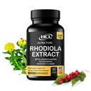 Rhodiola Rosea συμπλήρωμα υψηλής ισχύος Εκχύλισμα 500mg - 3% Rosavins 1% Salidrosides με Ashwagandha Shisandra Πάθος Flower Herb Κάψουλες σκόνη - Φυσικός τρόπος για να ανακουφίσει το άγχος - Χάπια για την ενέργεια