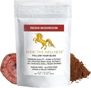 Addicive Wellness Reishi Mushroom Extract Powder + Spores (50/50 Blend) Ξύλο Καλλιεργείται καθαρό & ισχυρό Wildcraft Ganoderma 50g (1,76 oz)