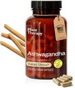 Plant Therapy Ashwagandha Κάψουλες Κατασκευάζονται στις ΗΠΑ 4 Μήνες Προαγωγή Χαλάρωσης και Συναισθηματικής Ισορροπίας Συμπληρώματα για Γυναίκες & Άνδρες 120 Χορτοφαγική Κάψουλα